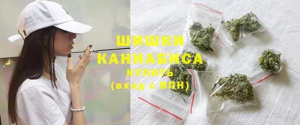 эйфоретик Вяземский