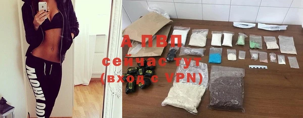 эйфоретик Вяземский