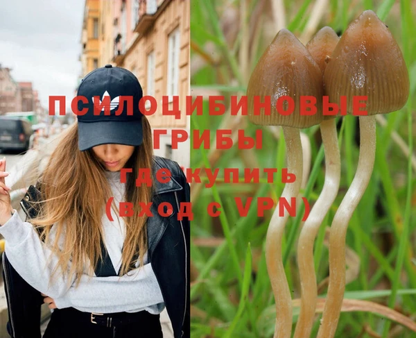 гашиш Вязьма