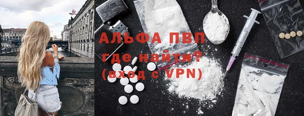 эйфоретик Вяземский