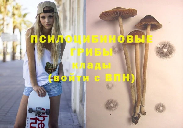 mix Саяногорск