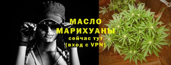 эйфоретик Вяземский
